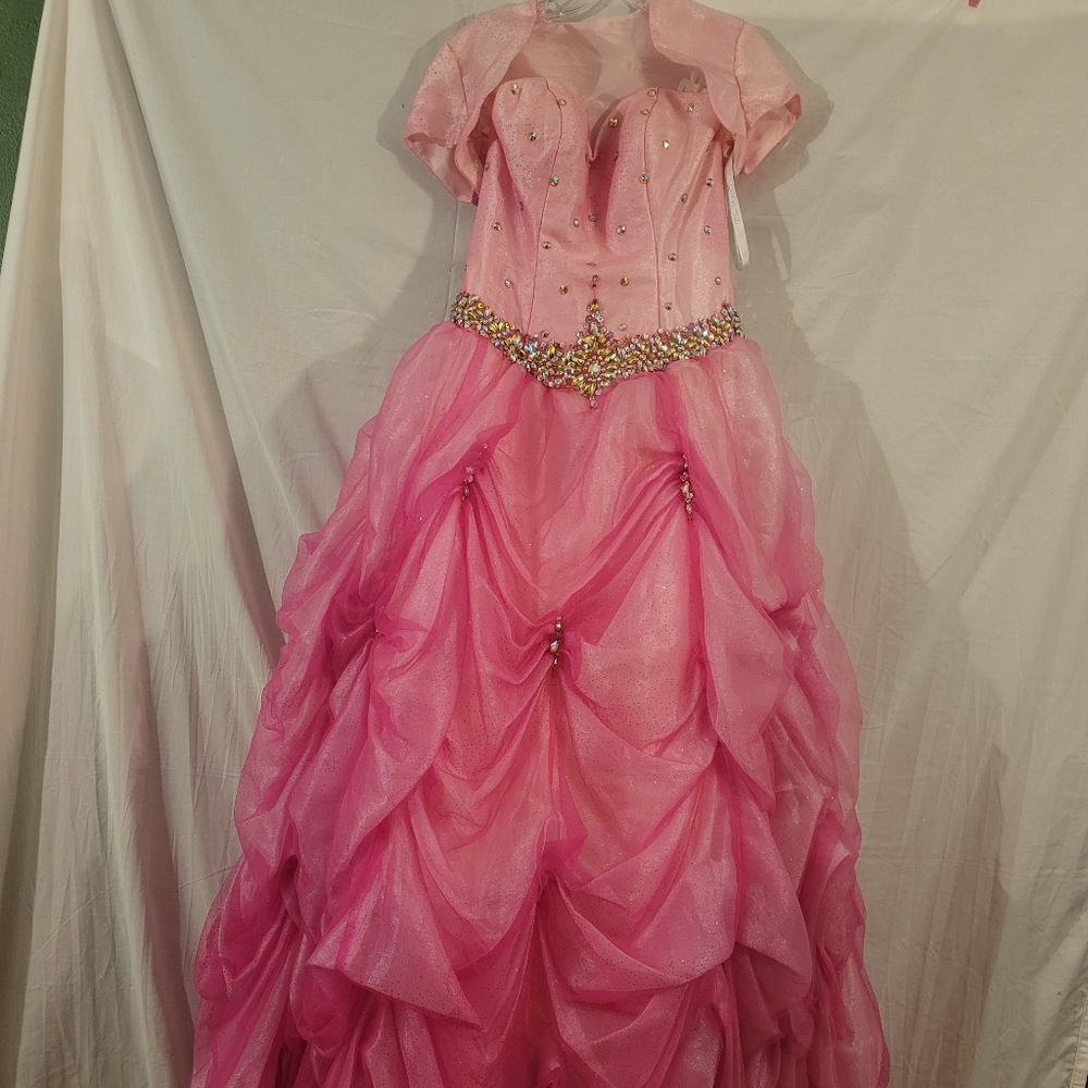 Pink Princess Gown